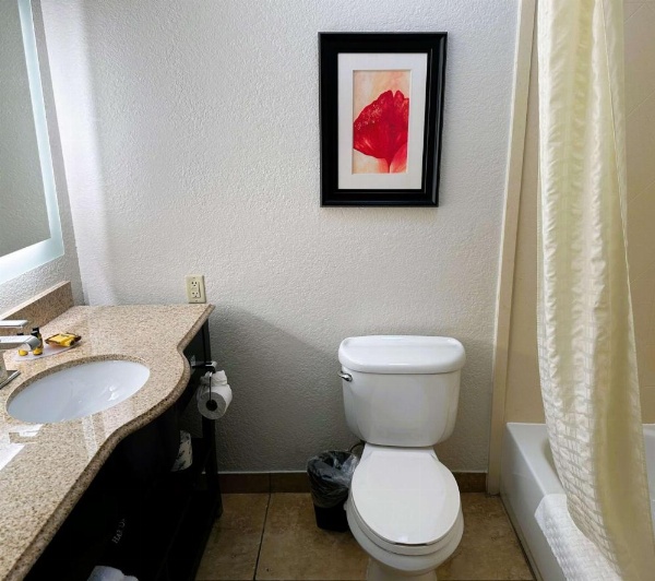 Best Western Plus Jfk Inn & Suites image 19